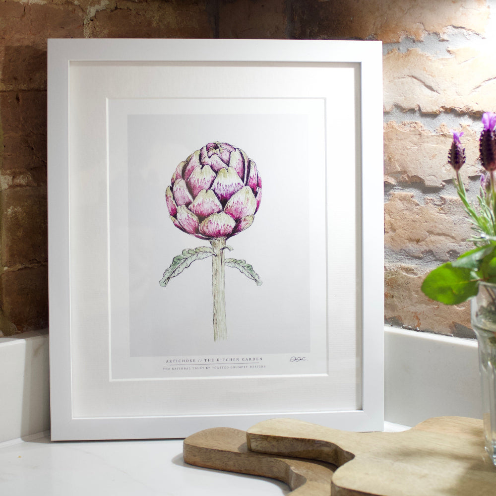 White Framed botanical art print of an artichoke. 