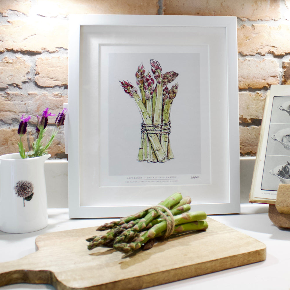 Asparagus Framed Fine Art Print Wall Art